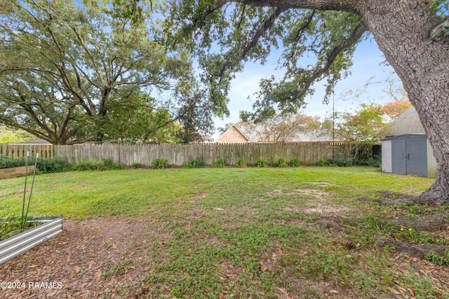 view of yard featuring a storage unit