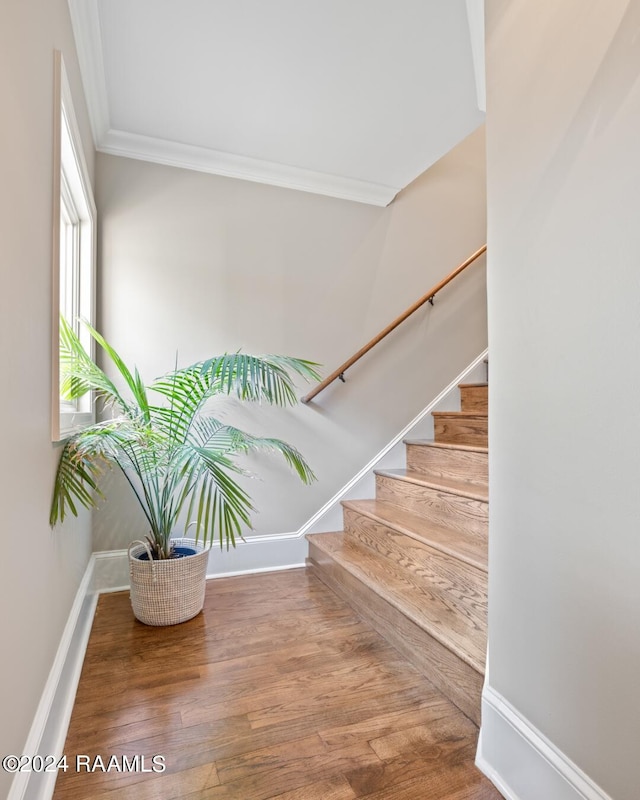 staircase featuring ornamental molding and hardwood / wood-style floors