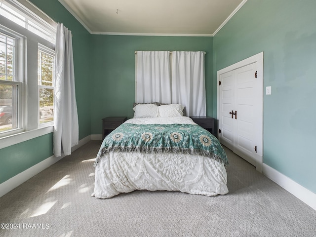 bedroom featuring carpet flooring, ornamental molding, and a closet