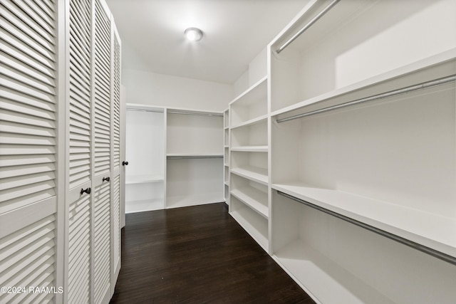 spacious closet featuring dark hardwood / wood-style floors