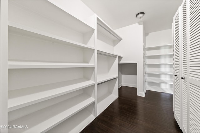 spacious closet with dark wood-type flooring