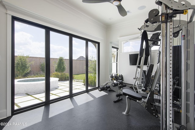 workout area with ceiling fan and crown molding