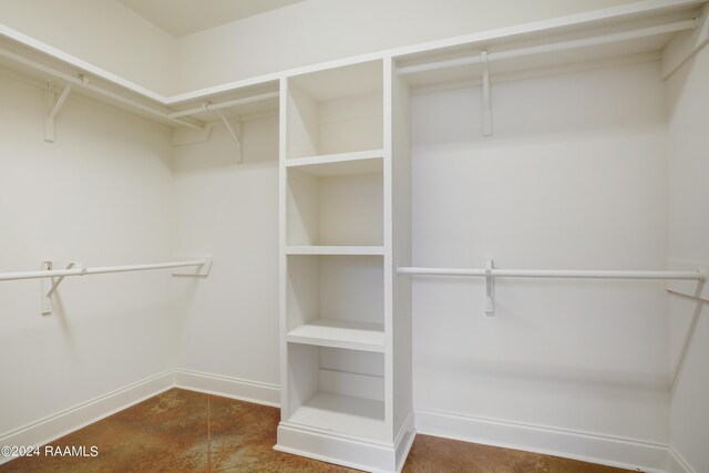 view of spacious closet