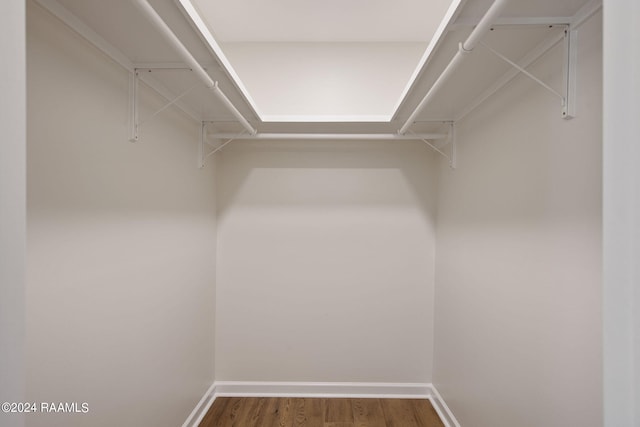 walk in closet with hardwood / wood-style flooring