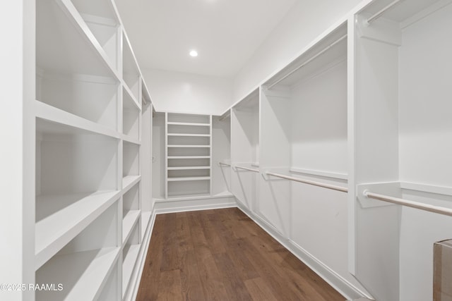 walk in closet with dark wood-type flooring