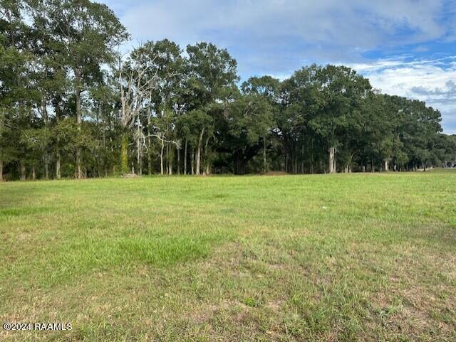 Listing photo 2 for TBD Main Hwy, Arnaudville LA 70512