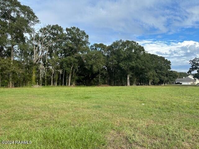 Listing photo 3 for TBD Main Hwy, Arnaudville LA 70512