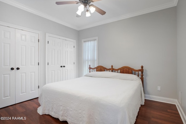 bedroom featuring ornamental molding, two closets, dark hardwood / wood-style flooring, and ceiling fan