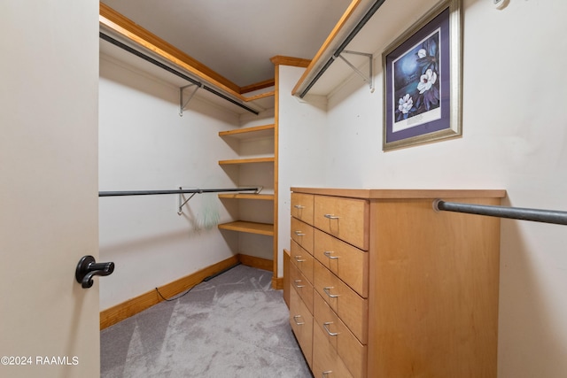 spacious closet with light carpet