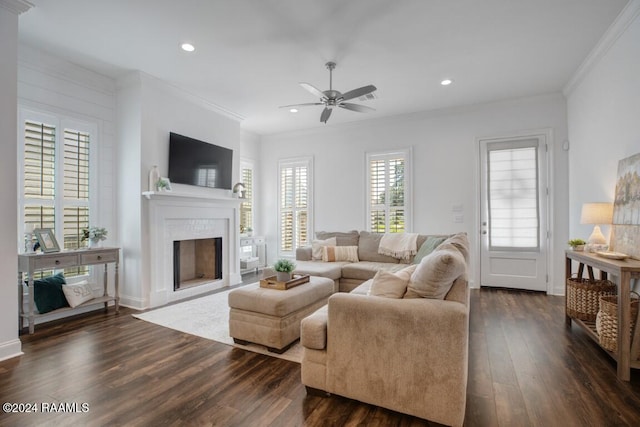 living room with ceiling fan, dark hardwood / wood-style floors, and ornamental molding