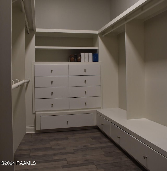 walk in closet with dark hardwood / wood-style flooring