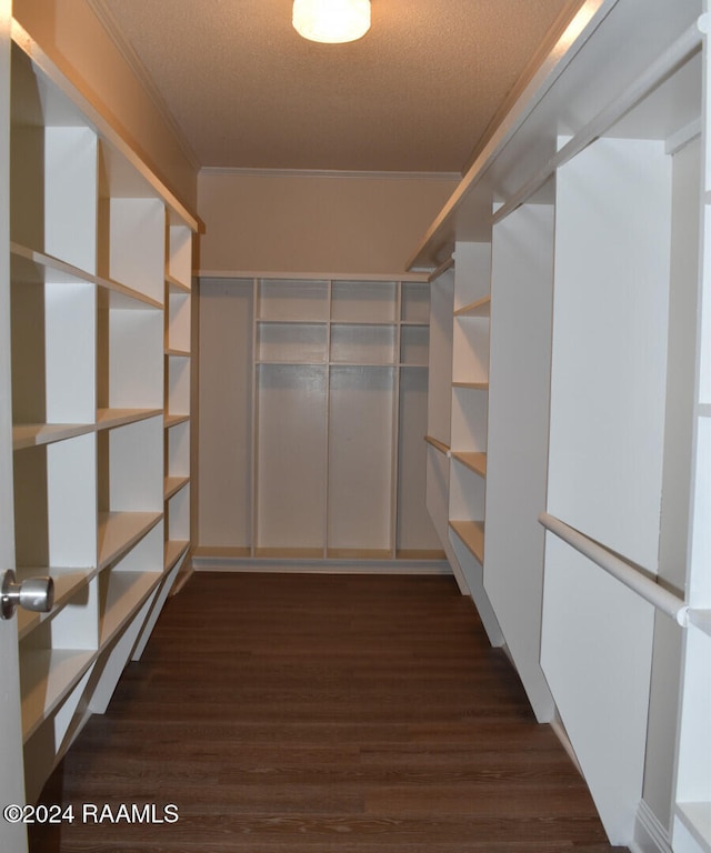 walk in closet featuring dark hardwood / wood-style floors