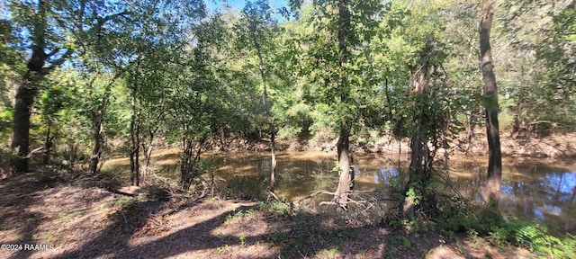 Tbd Courtableau Highway, Arnaudville, LA 70512 - photo 4