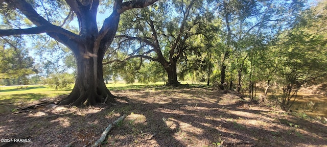Tbd Courtableau Highway, Arnaudville, LA 70512 - photo 5