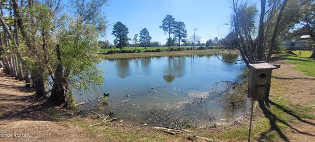 Tbd Courtableau Highway, Arnaudville, LA 70512 - photo 9