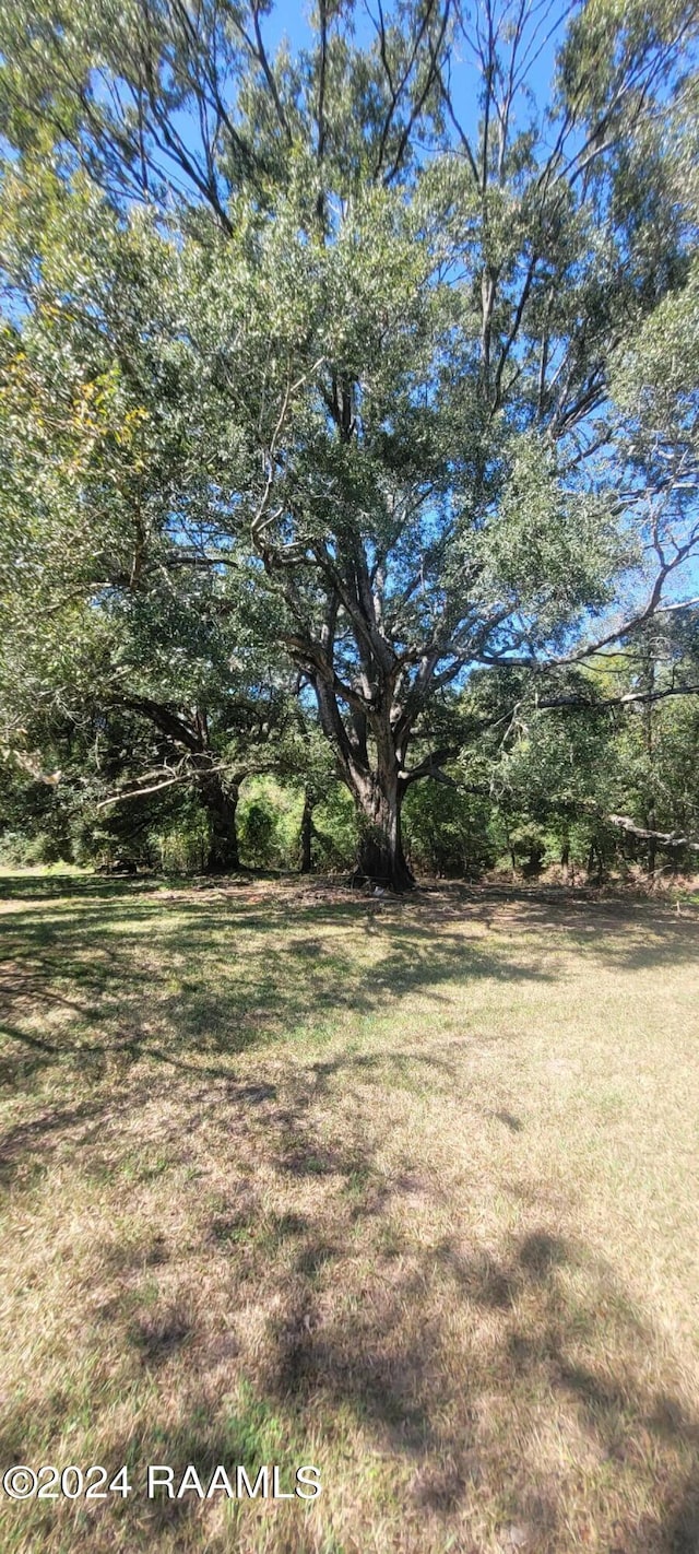 Tbd Courtableau Highway, Arnaudville, LA 70512 - photo 3