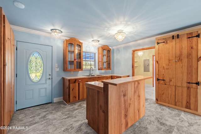 kitchen featuring crown molding and sink