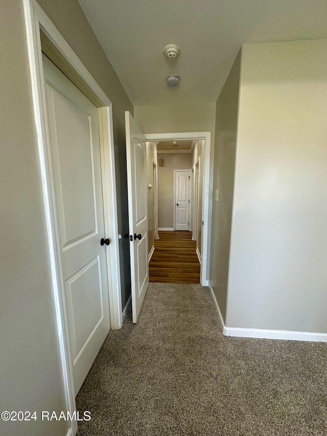 hallway with carpet floors