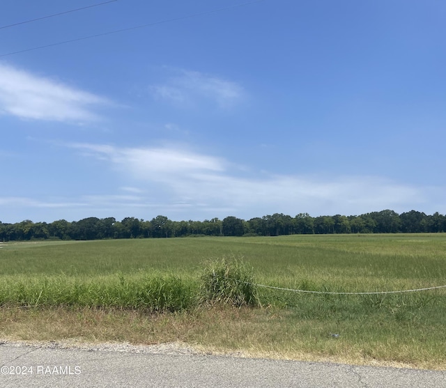 B8 Cecil Watkins Rd, Arnaudville LA, 70512 land for sale