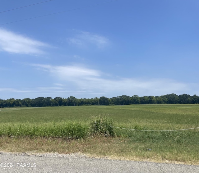 B8 Cecil Watkins Rd, Arnaudville, LA 70512 - photo 1