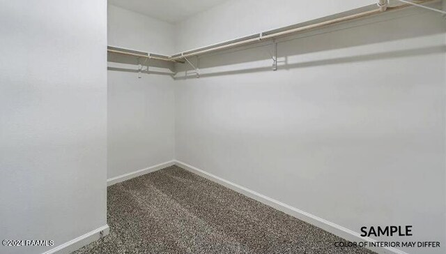 spacious closet featuring carpet floors