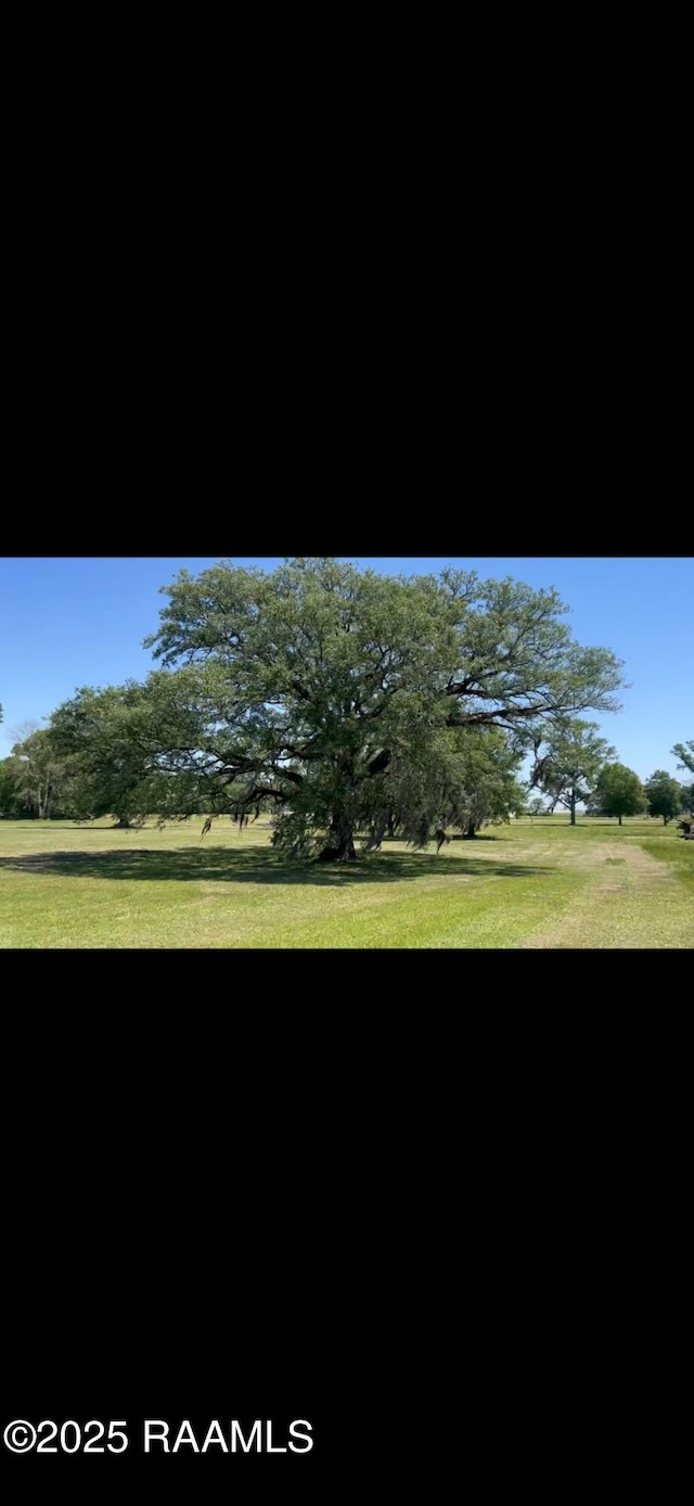 7720 La Highway 82, Youngsville, LA 70592 - photo 3