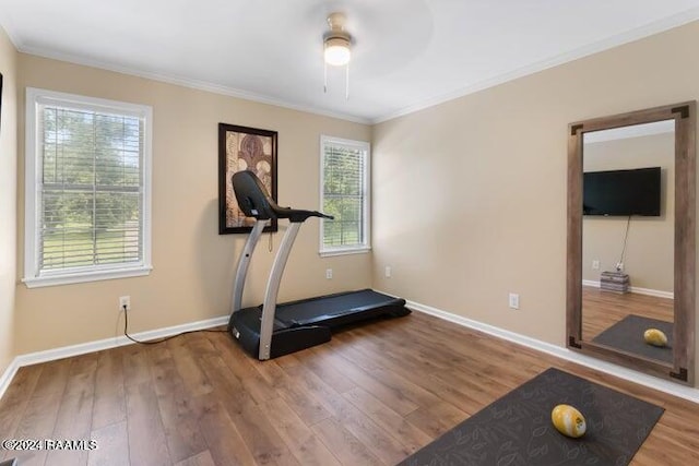 exercise area with crown molding, hardwood / wood-style flooring, and ceiling fan