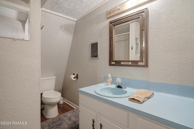 135 Woodys Ln, Sunset, LA 70584 - bathroom featuring wood finished floors, a textured wall, toilet, and vanity