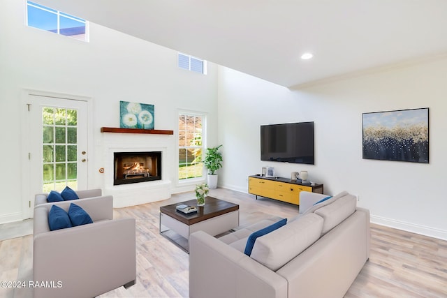 living room featuring light wood-type flooring