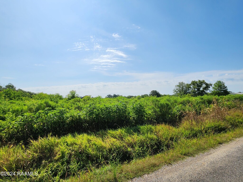 Tbd Rue Novembre, Scott, LA 70583 - photo 1
