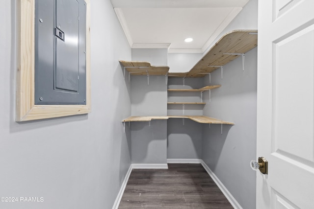 spacious closet featuring electric panel and dark hardwood / wood-style floors