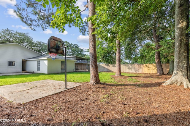 view of yard featuring a patio area