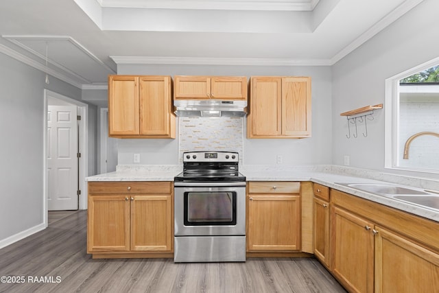 406 Orange Grove Ave, New Iberia, LA 70560 - kitchen with stainless steel electric range oven, under cabinet range hood, light wood-style flooring, a sink, and light countertops