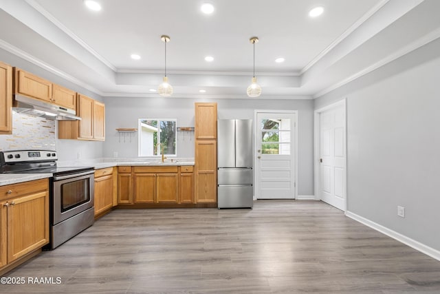 406 Orange Grove Ave, New Iberia, LA 70560 - kitchen featuring appliances with stainless steel finishes, a tray ceiling, light countertops, crown molding, and under cabinet range hood