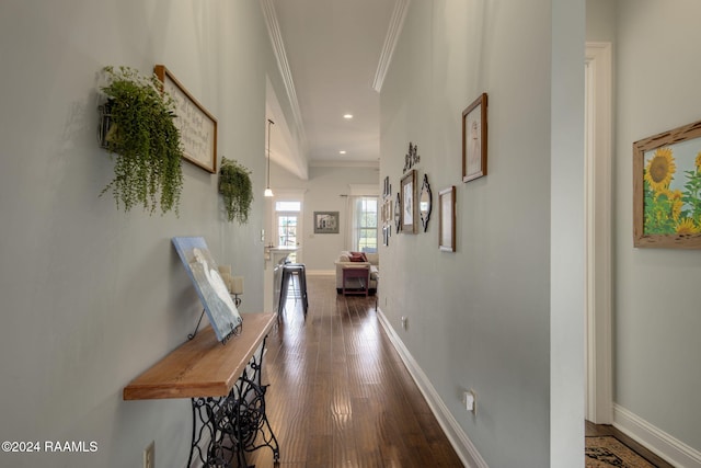 hall featuring crown molding and dark hardwood / wood-style floors