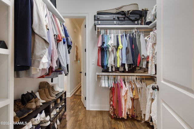 spacious closet with dark wood-type flooring