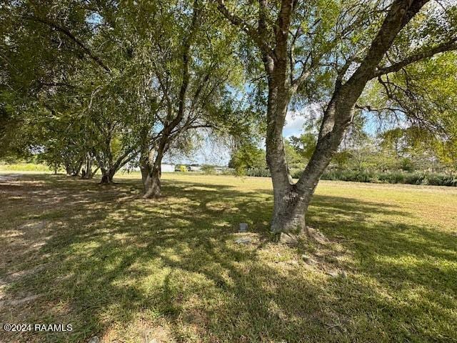 423 Cactus Rd, Duson, LA 70529