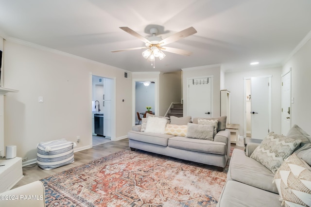 living area with ceiling fan, visible vents, ornamental molding, light wood finished floors, and stairs
