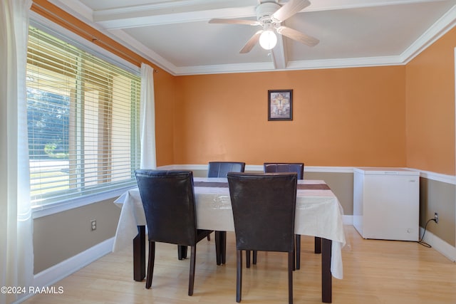 dining room with beam ceiling, crown molding, light hardwood / wood-style floors, and ceiling fan