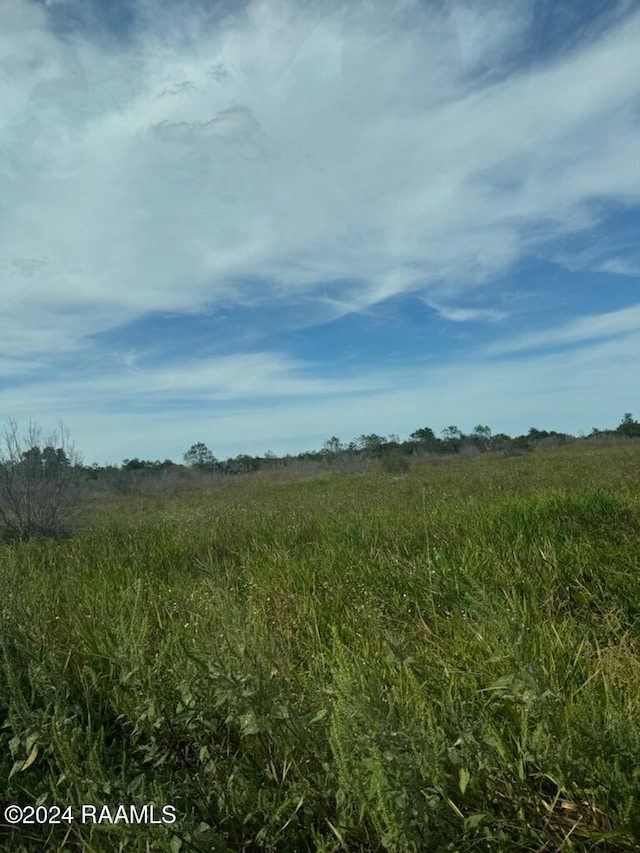 S Talens Landing Rd, Gueydan, LA 70542 - photo 4
