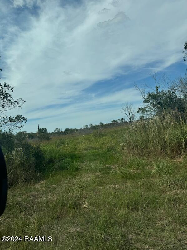 S Talens Landing Rd, Gueydan, LA 70542 - photo 5