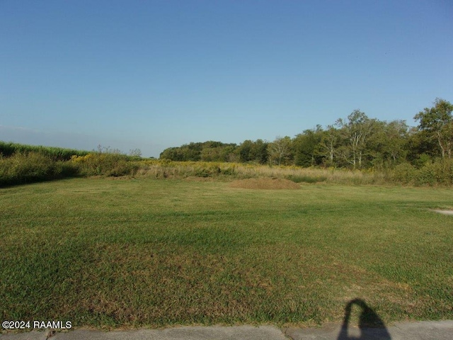 view of yard with a rural view