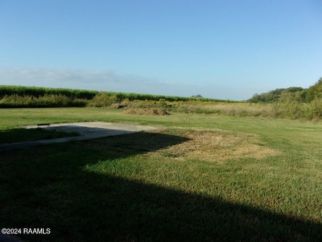 view of yard featuring a rural view