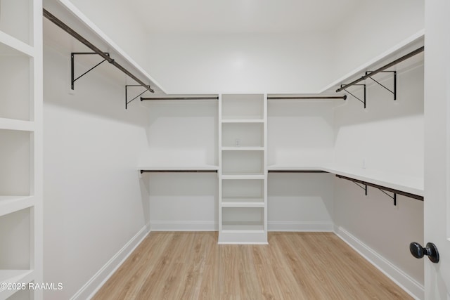 spacious closet featuring wood finished floors