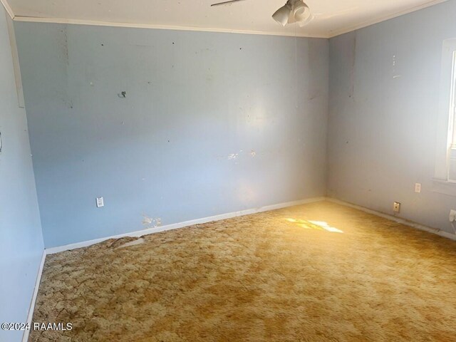 spare room with ornamental molding, carpet, and ceiling fan