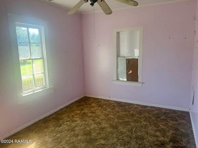 spare room with crown molding and ceiling fan