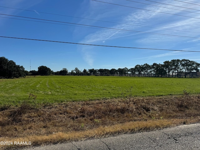 911 Rue Du Belier, Lafayette, LA 70506 - photo 3