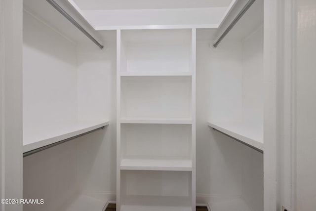 view of walk in closet