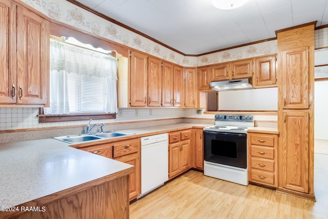 kitchen featuring light hardwood / wood-style flooring, ornamental molding, sink, white appliances, and tasteful backsplash