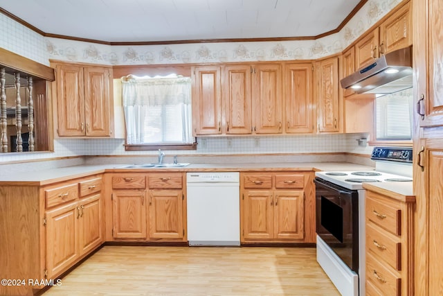 kitchen with a healthy amount of sunlight, sink, light hardwood / wood-style floors, and white appliances